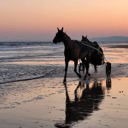 Superbe Renove A Cabourg, Face A La Pour 2 - Fr-1-788-33 *