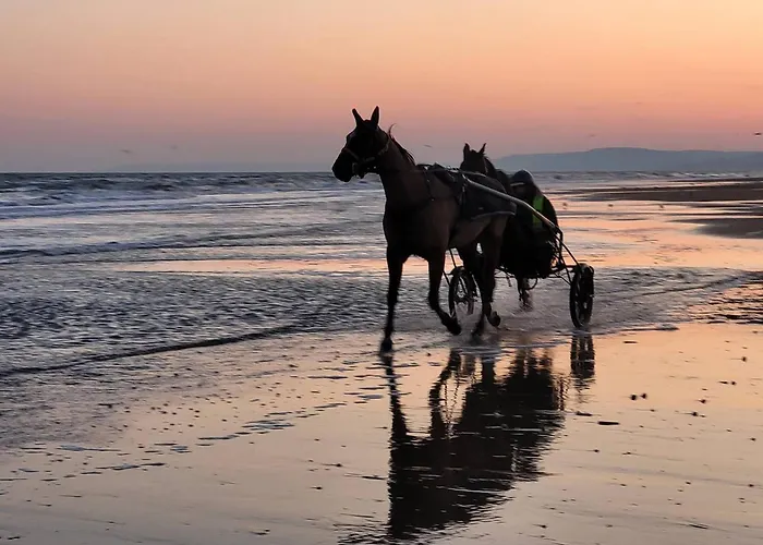 Апартаменты Superbe Renove A Cabourg, Face A La Pour 2 - Fr-1-788-33 *